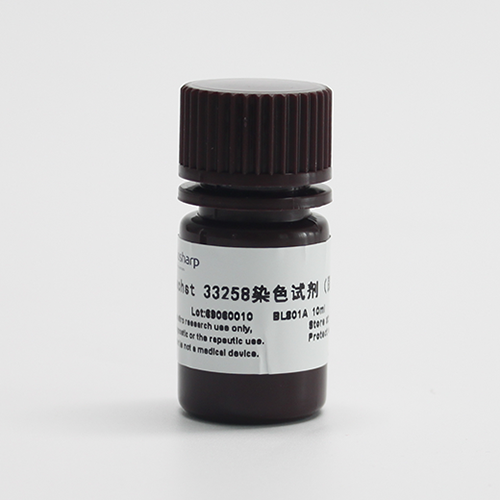 biosharp BL801A Hoechst 33258染色试剂（即用型） 10ml