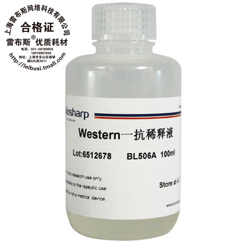 Biosharp BL506A Western一抗稀释液 100ml一抗的稀释和配制