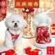 宠物衣服秋冬新款 裙子泰迪比熊狗狗猫咪牵引过年外套 加绒新年唐装