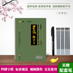 墨风中华练字王千字文凹槽字帖硬笔楷书专用练字帖小学生