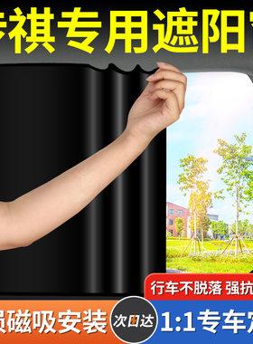 传祺影酷GS3 GS4 GS8 GA3影豹GA4汽车防蚊纱窗防虫网车用遮阳窗帘