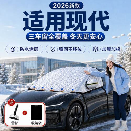 【现代】汽车三窗遮雪挡