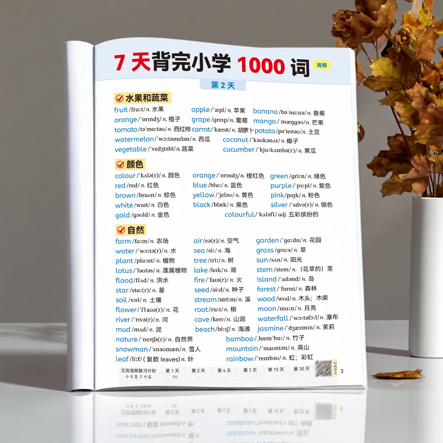 小学英语知识归纳总结速记单词