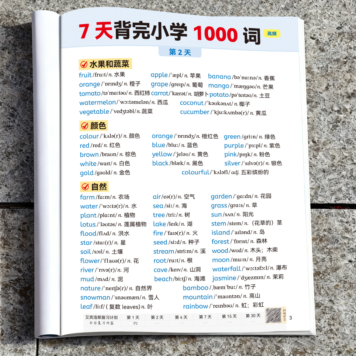 小学英语知识归纳总结小学生