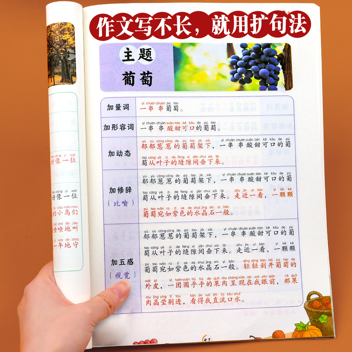 小学语文扩句法每日晨读337看图写话下学期60天优美句段篇积累仿写练习一二三年级五感法写作文好词好句好段大全一看就会优美句子-封面