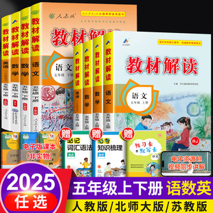 部編5下小學教材全解七彩課本輔導解析備課教案教參課堂筆記 2025新教材解讀五年級下冊語文書全套上冊同步訓練人教版