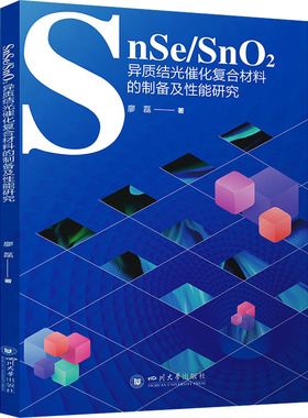 正版 SnSe/SnO2异质结光催化复合材料的制备及性能研究 9787569072112 四川大学出版社