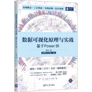 正版 数据可视化原理与实战 基于Power BI 9787302595762 清华大学出版社