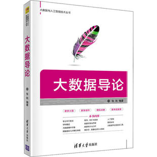 正版 大数据导论 9787302541905 清华大学出版社
