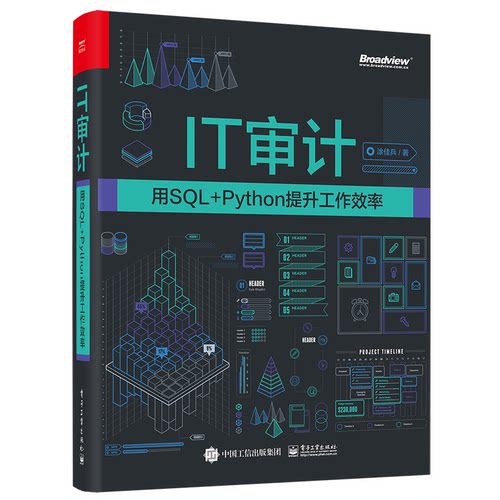 正版 IT审计(用SQL+Python提升工作效率) 9787121433467 电子工业出版社