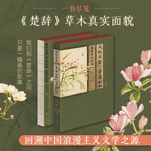 中国画报 9787514625158 正版 风吹兰芷芳华如故：楚辞草木画谱
