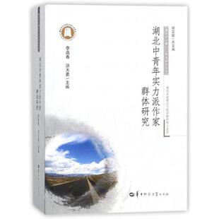 正版 湖北中青年实力派作家群体研究/湖北文学理论与批评研究丛书 9787562280217 华中师大