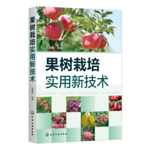 正版 果树栽培实用新技术 9787122375841 化学工业出版社