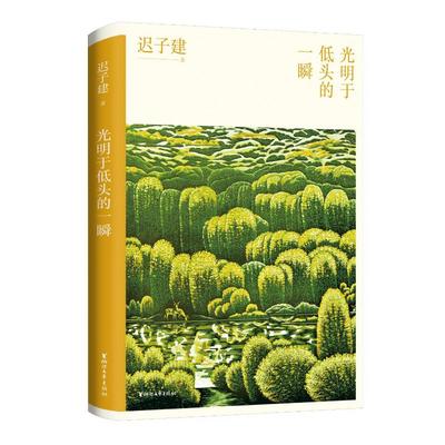 正版 光明于低头的一瞬(茅盾文学奖得主迟子建散文自选集全球漫游的旅行记带你去看繁华世界) 9787533966713 浙江文艺出版社