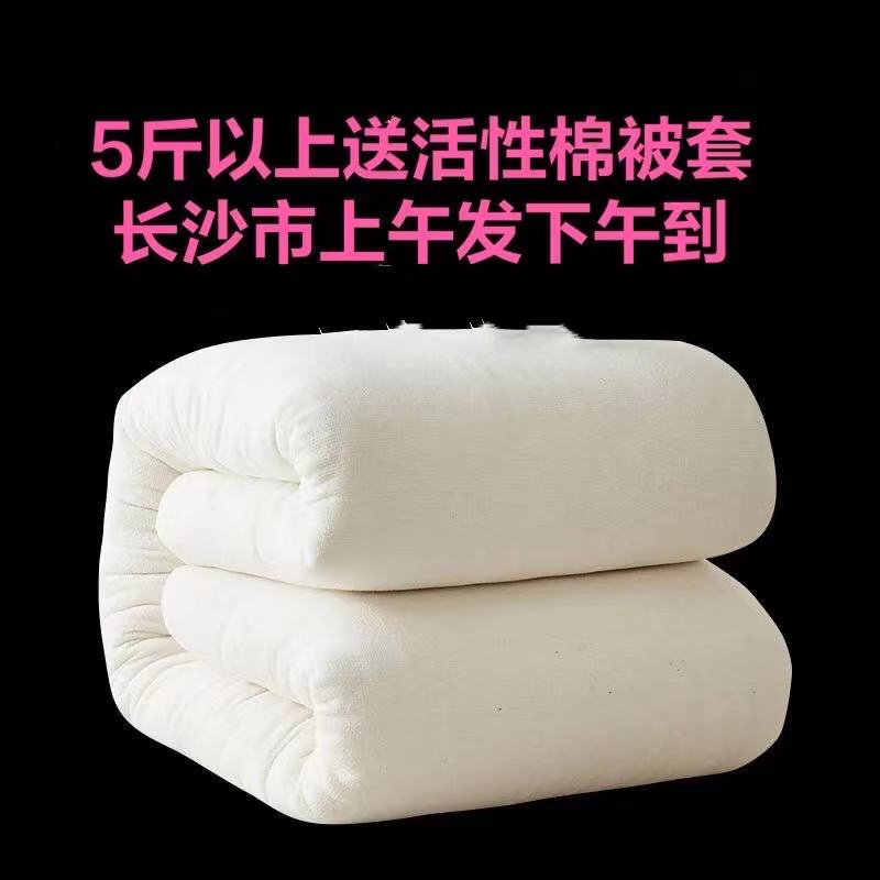 棉花被春秋加厚保暖单人双人