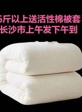 棉花被春秋加厚保暖单人双人