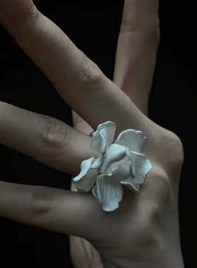 金缘缨黄金鸢尾花戒指高颜值点钻镶嵌素圈繁花优雅高级足金戒指潮