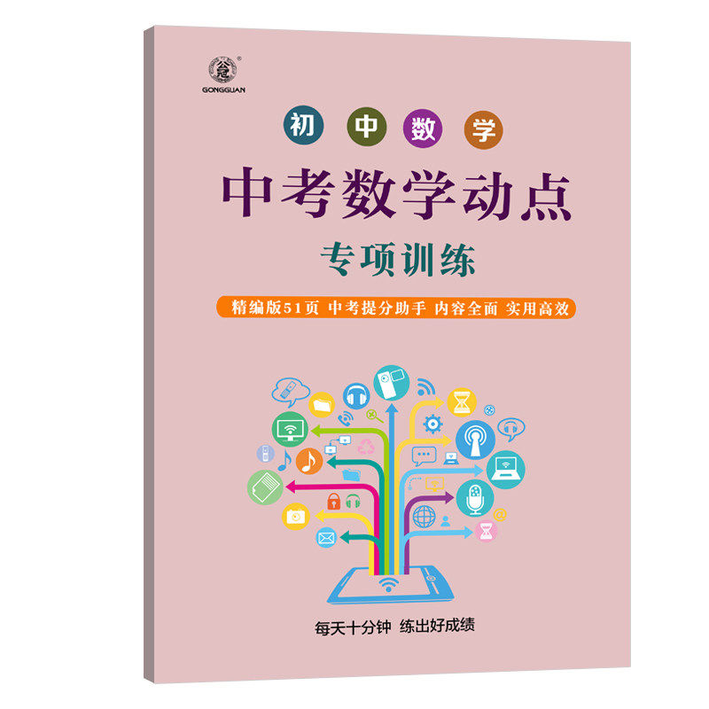 中考数学动点专项训练初