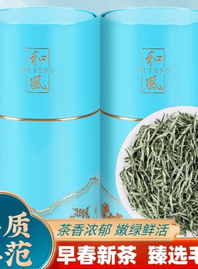 毛尖特级绿茶2025新茶叶明前花果浓香型高档送礼罐装250g500g