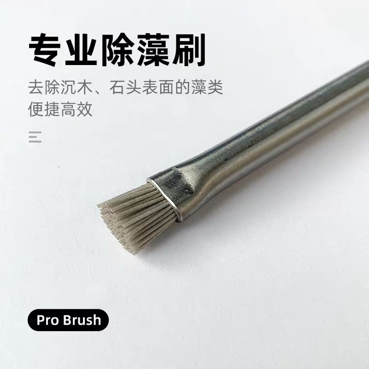 艾伦水草造景专业除藻刷子石头