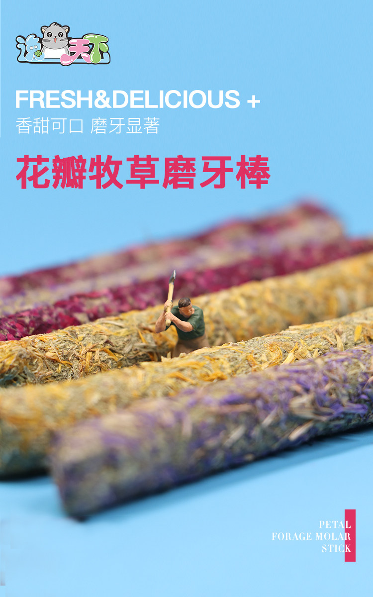 【零食】花瓣草棒龙猫兔兔苜蓿草提摩西胡萝卜天然营养磨牙6根装,宠物/宠物食品及用品,玩具/造景装饰,淘宝优惠券,粉丝福利购,淘宝优惠卷