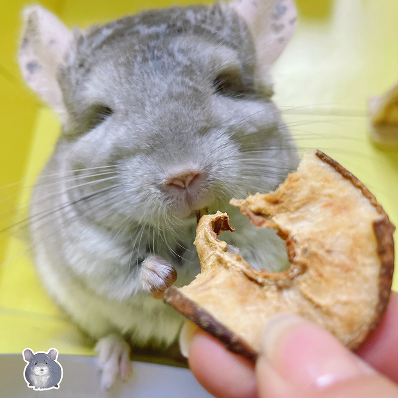 曼米小宠龙猫零食新鲜烘干梨子干