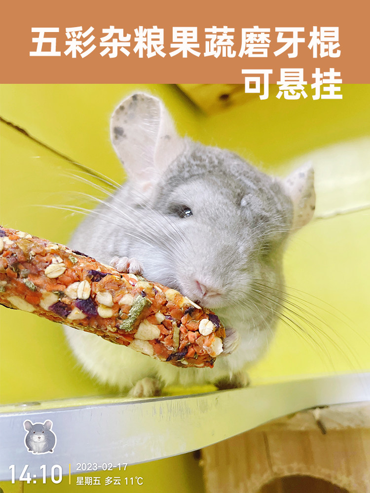 逸宠｜五彩杂粮果蔬花草磨牙棍 两支装龙猫兔兔豚鼠零食可悬挂,宠物/宠物食品及用品,兔兔零食,淘宝优惠券,粉丝福利购,淘宝优惠卷