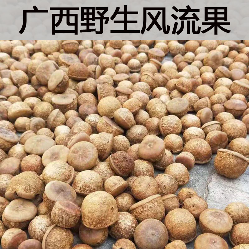 正品广西山货风流果石头果风流子干果男士泡酒料煲汤水中药材无硫