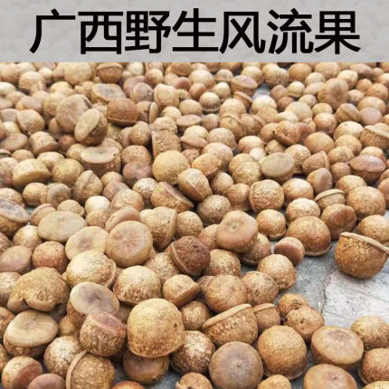 广西山货风流果石头果风流子牛大力男士泡酒料杜仲煲汤泡茶中药材
