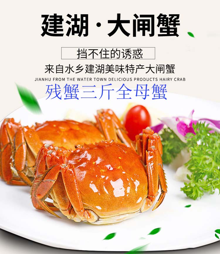 大闸蟹残蟹全母蟹断脚蟹