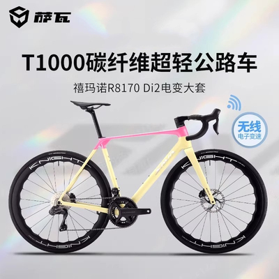 萨瓦SAVA驭风R8高端全碳纤维车