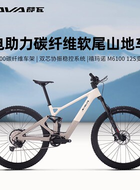 SAVA萨瓦泰坦电助力自行车碳纤维