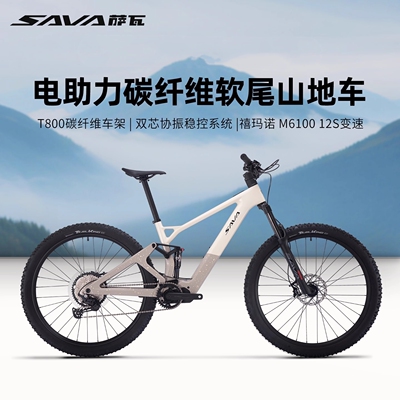 SAVA萨瓦泰坦电助力自行车碳纤维