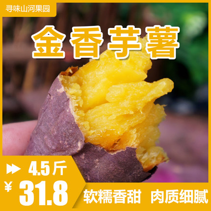 【热卖中】壹亩地瓜金香芋薯黄心番薯红薯软糯香甜细腻无筋地瓜