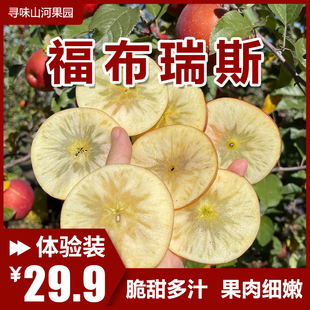 【热卖中】云南昭通云野福布瑞斯苹果脆甜多汁红富士新鲜水果包邮
