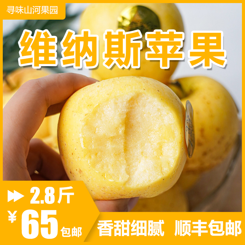 【顺丰】黄胖子维纳斯苹果山东威海黄金轻奢礼盒送礼新鲜脆甜包邮