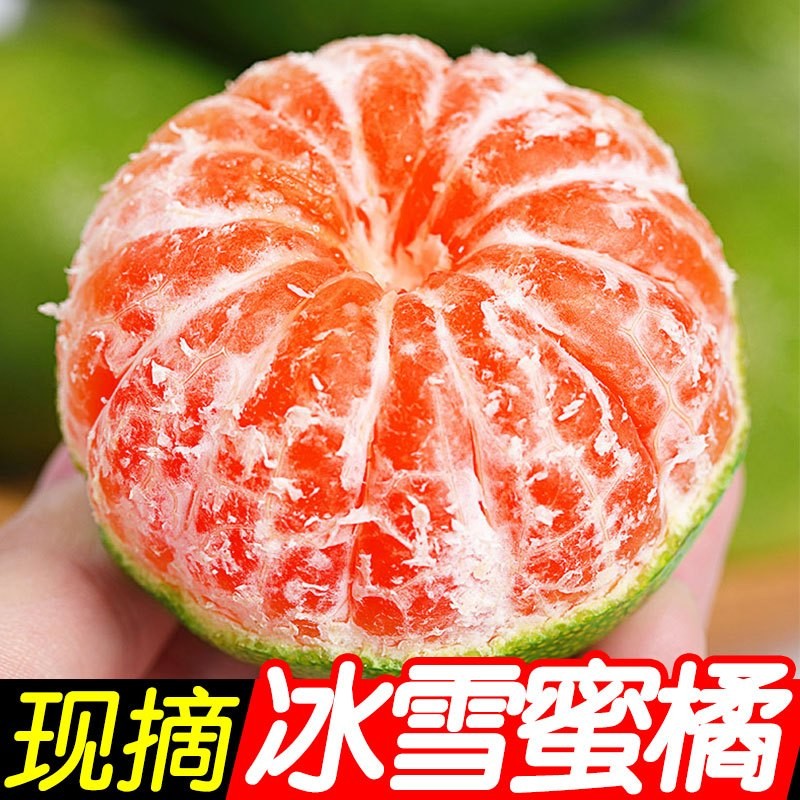 青皮橘子新鲜蜜橘应季孕妇水果柑桔子