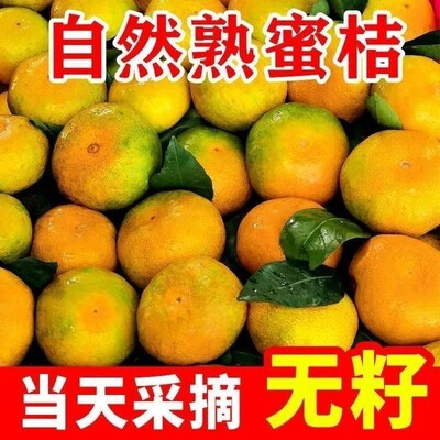 橘子新鲜蜜橘鲜甜无核薄皮黄柑橘冰糖正宗桔子当季时令蜜桔水果