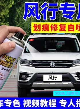 东风风行t5evo补漆笔碧玉青珍珠白色汽车漆修复自喷漆极光绿黑色