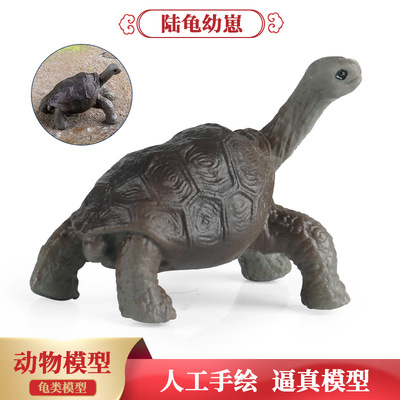跨境塑胶仿真两栖爬行动物模型王八乌龟陆龟幼崽玩具科教认知摆件