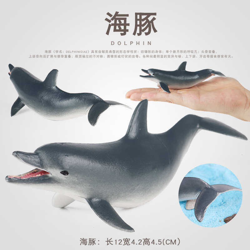 仿真实心海豚海洋生物玩具水生哺乳动物模型玩偶儿童科教认知礼物