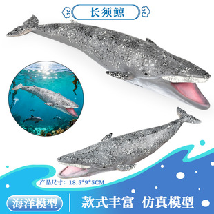 儿童玩具仿真海洋动物模型软胶大白鲨蓝鲸虎鲸白鲸长须鲸海豹摆件