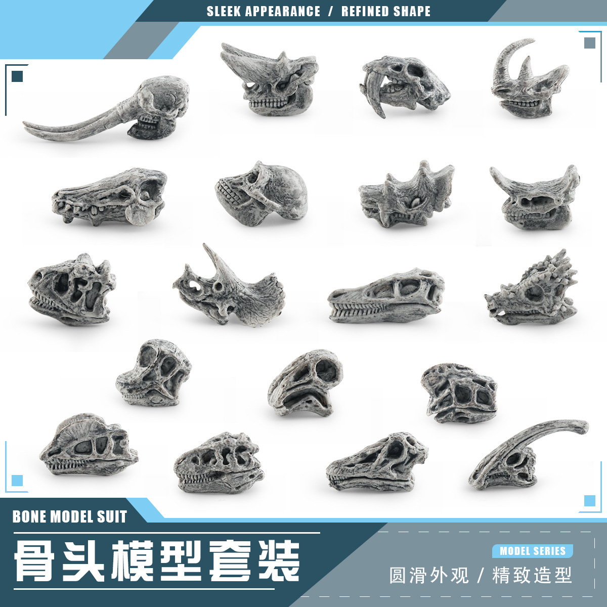 仿真史前动物恐龙头骨模型剑齿虎凶齿豨霸王龙迅猛龙灰色化石摆件