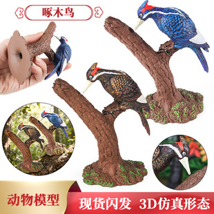 仿真野生动物模型飞禽鸟类啄木鸟猫头鹰犀鸟咬鹃鹦鹉儿童玩具摆件