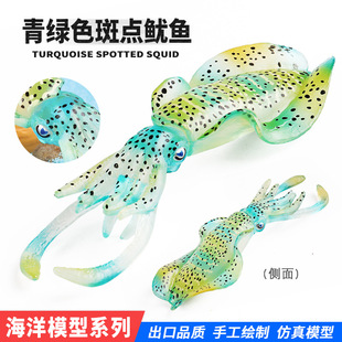 仿真科教海洋生物模型斑点鱿鱼章鱼乌贼八爪鱼感官盆玩具家居摆件