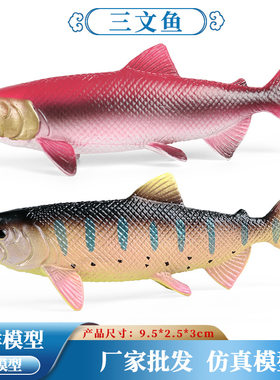 儿童认知仿真深海鱼三文鱼大马哈鱼鲑鱼海洋海底生物模型玩具摆件