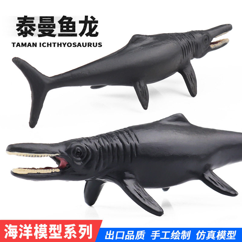 仿真动物模型鱼缸家居装饰海洋生物摆件泰曼鱼龙鹦鹉螺海马鲨鱼 - 实物图