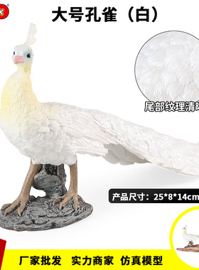 仿真大号孔雀鸟类飞禽动物模型白色孔雀认知教具儿童玩具家居摆件