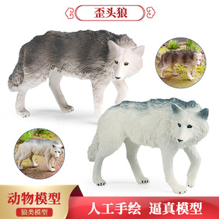 跨境儿童认知仿真实心狼摆件野生动物歪头狼白狼灰狼玩具手办模型