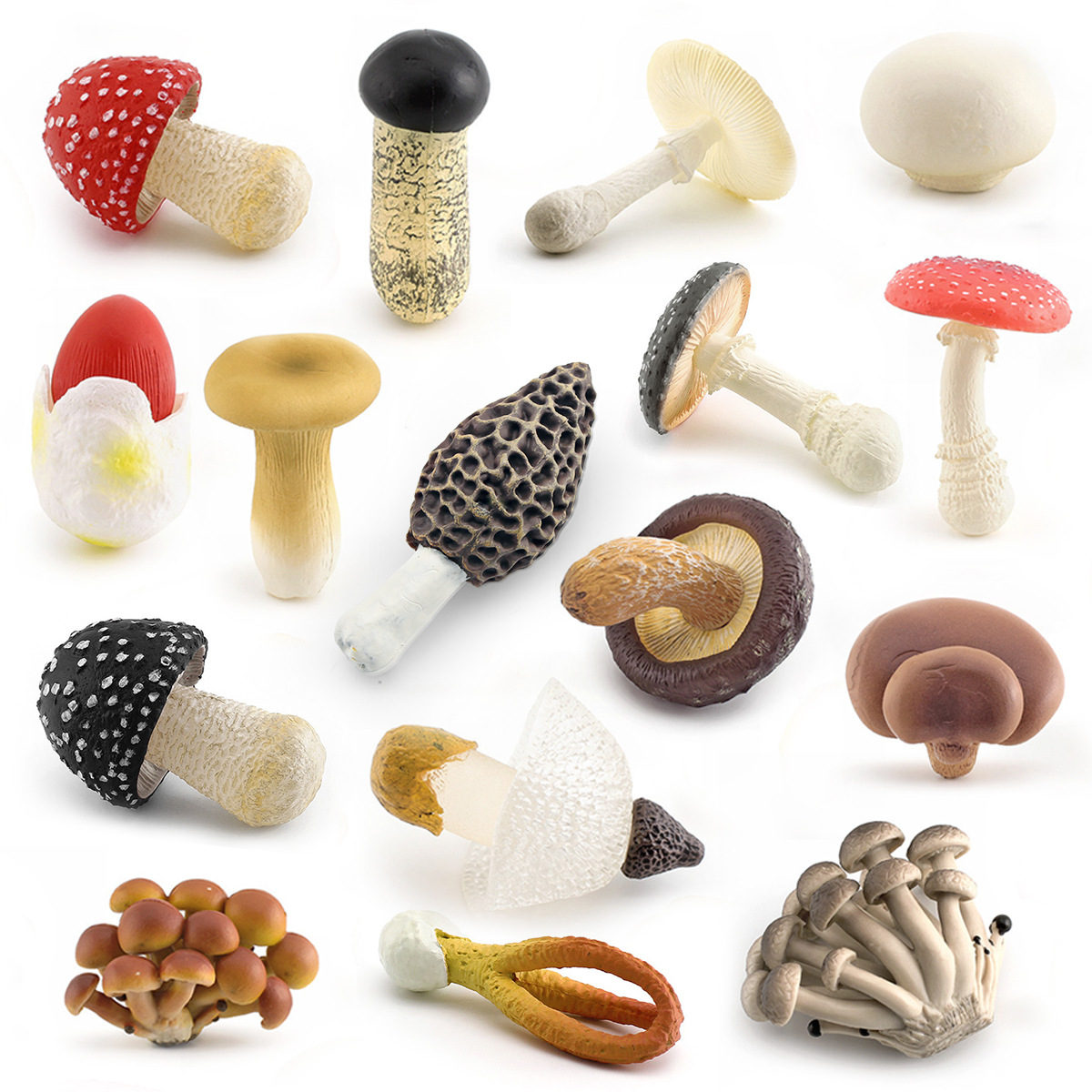 跨境仿真真菌蘑菇模型香菇白毒鹅膏菌真姬菇松茸双鲍菇毒绳伞摆件